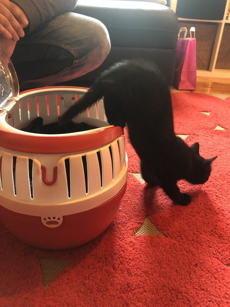 Luna erkunden ihr neues Zuhause.